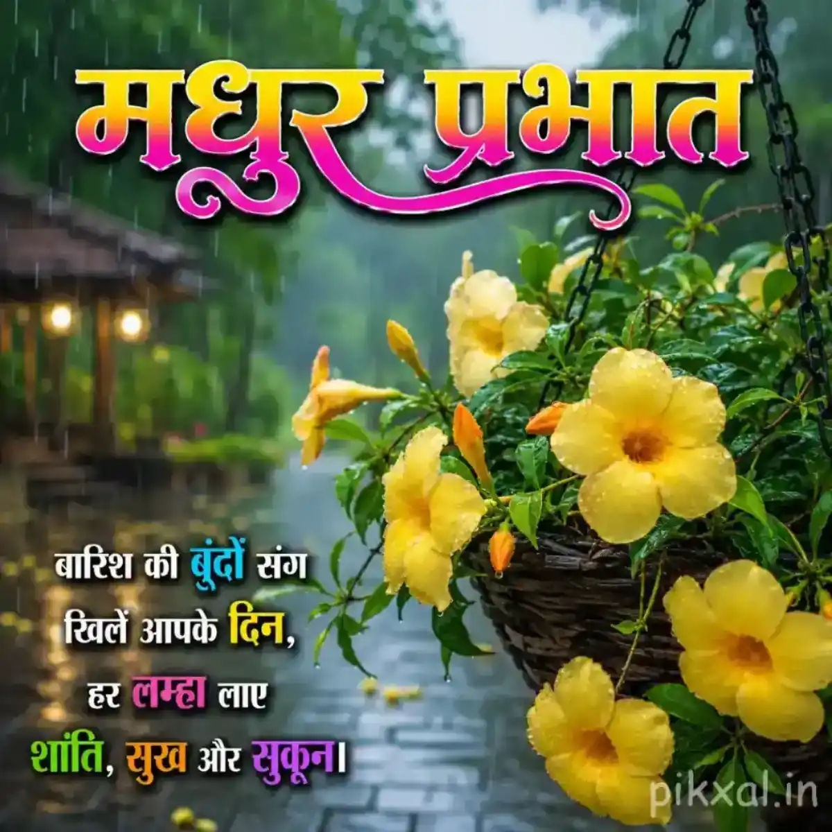 Cluster of yellow flowers with green leaves and raindrops beside a wet garden path with a मधुर प्रभात quote