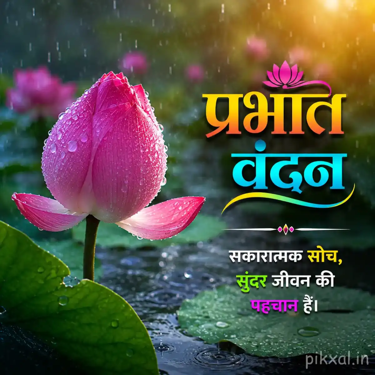 Single pink lotus bud with green lily pads and raindrops floating beside a rainy pond with a मधुर प्रभात quote