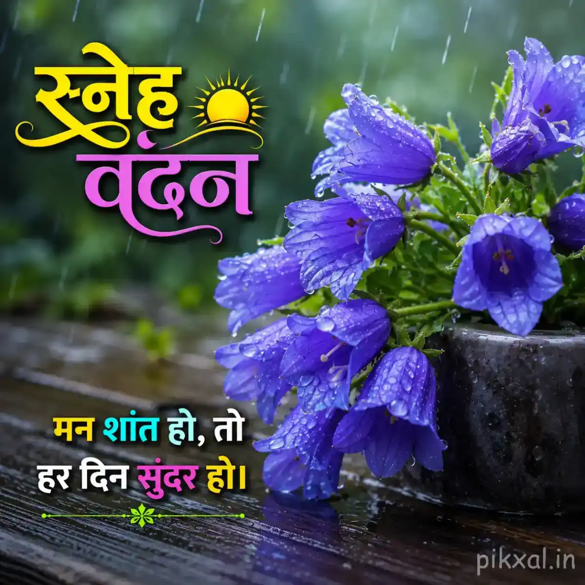 Cluster of blue-purple flowers with green leaves and raindrops against a dark rainy garden background with a स्नेह वंदन quote
