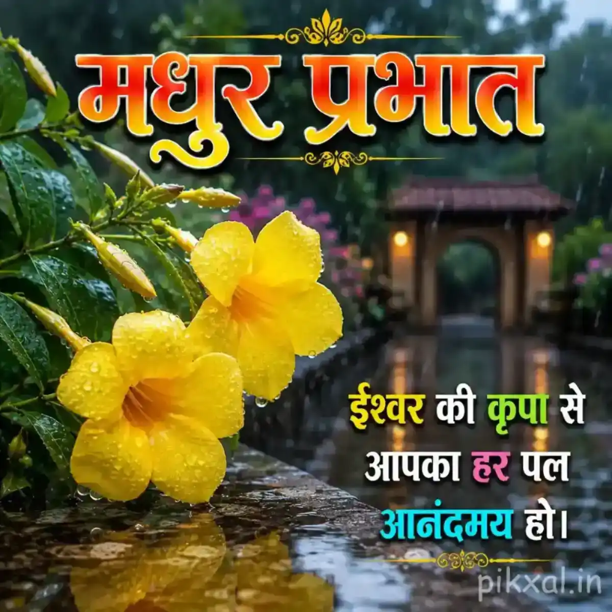 Two yellow flowers with green leaves and raindrops beside a wet garden path with a मधुर प्रभात quote