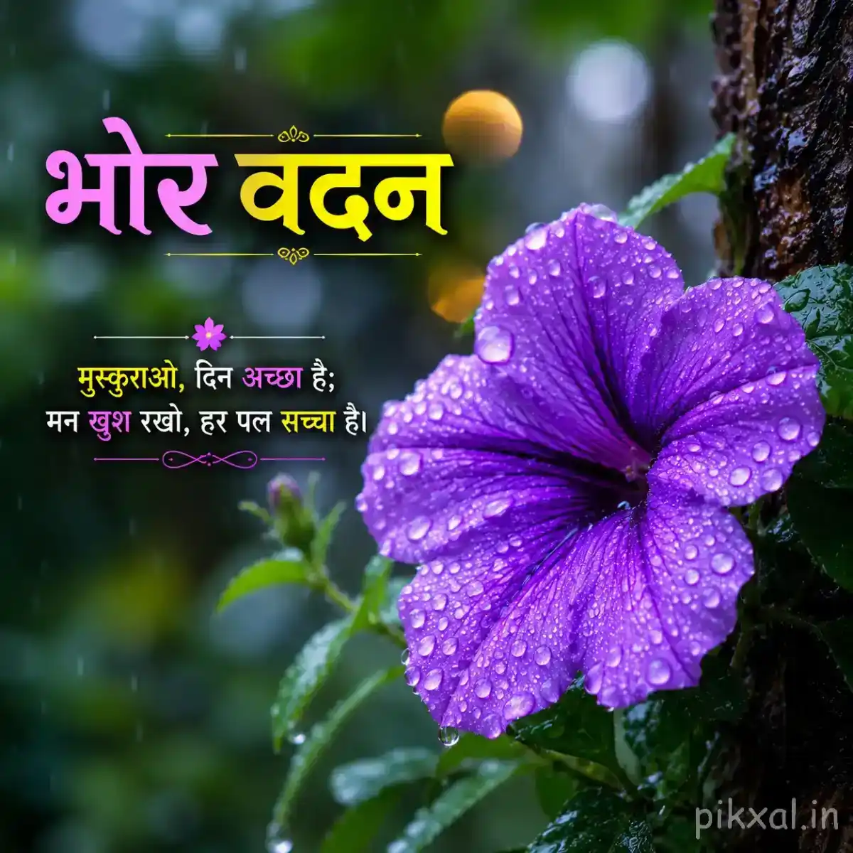 Single purple five-petaled flower with raindrops and green leaves beside a wet garden path with a भोर वंदन quote
