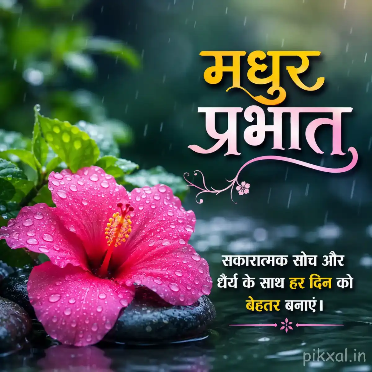 Single bright pink hibiscus flower with green leaves and raindrops resting on wet black stones with a मधुर प्रभात quote