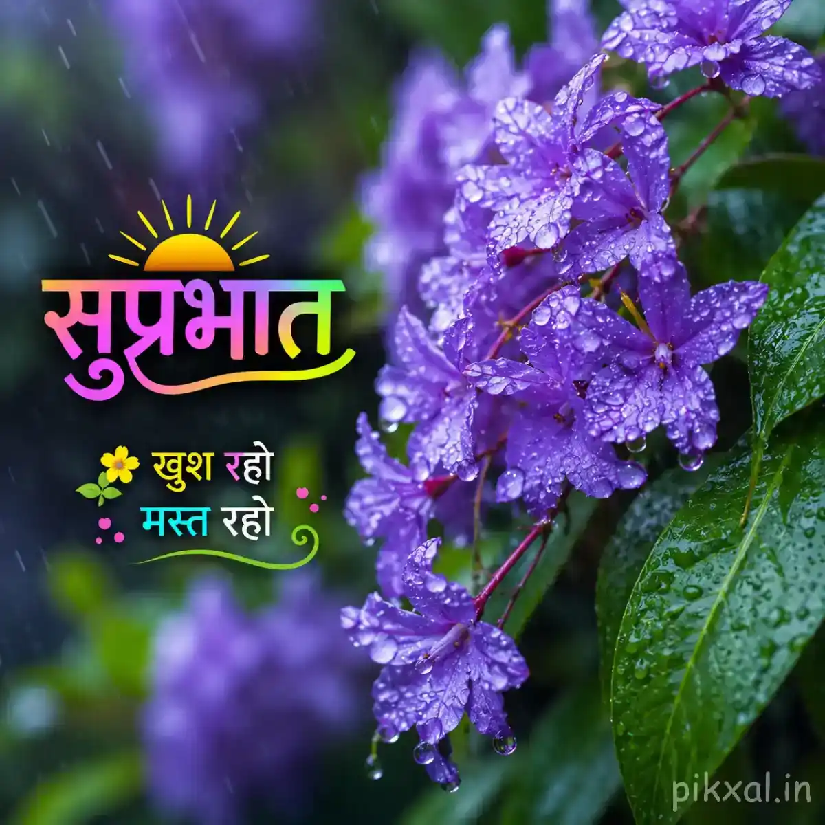 Cluster of purple flowers with green leaves and raindrops against a lush rainy garden background with a सुप्रभात quote