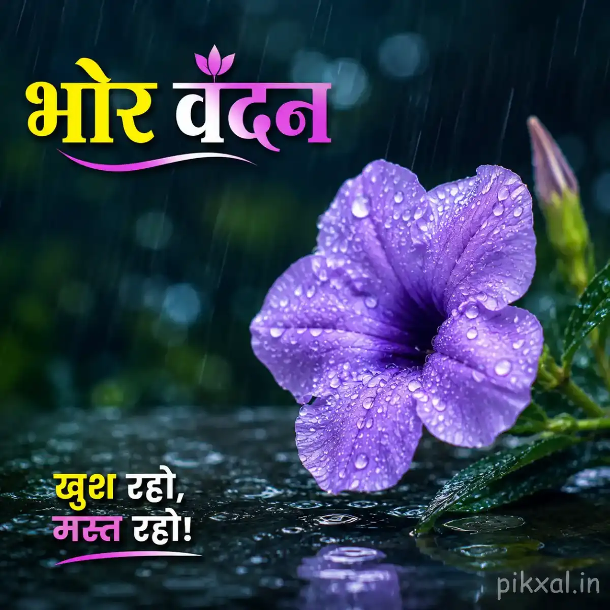 Single purple trumpet-shaped flower with green leaves and raindrops against a dark rainy garden background with a भोर वंदन quote