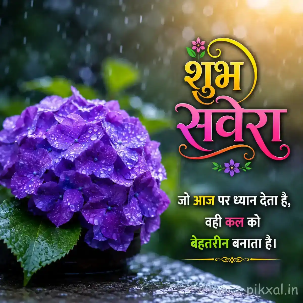 Blue-purple hydrangea flower cluster with green leaves and raindrops against a lush rainy garden background with a शुभ सवेरा quote
