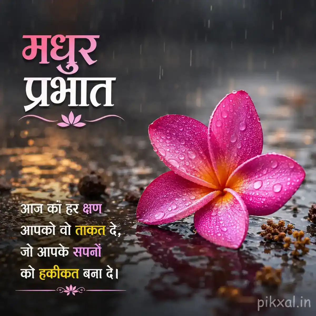 Single pink plumeria flower with a yellow center, green leaves and raindrops on a wet surface with a मधुर प्रभात quote