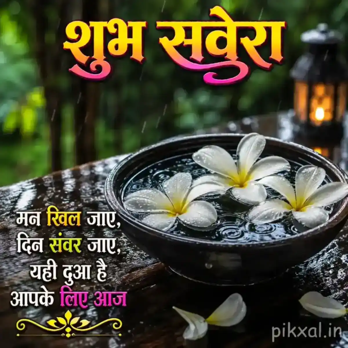Two white plumeria flowers with yellow centers floating in a small bowl of water beside a rainy garden path