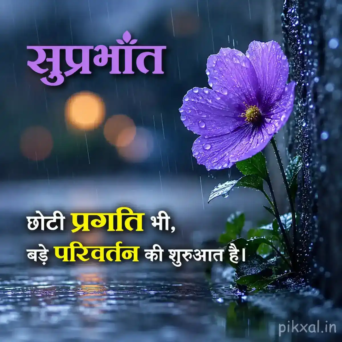 Single purple five-petaled flower with green leaves and raindrops against a rainy garden background with a सुप्रभात quote