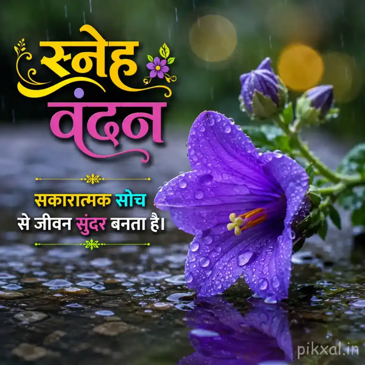 Single purple iris flower with raindrops beside wet stones and green leaves with a स्नेह वंदन quote