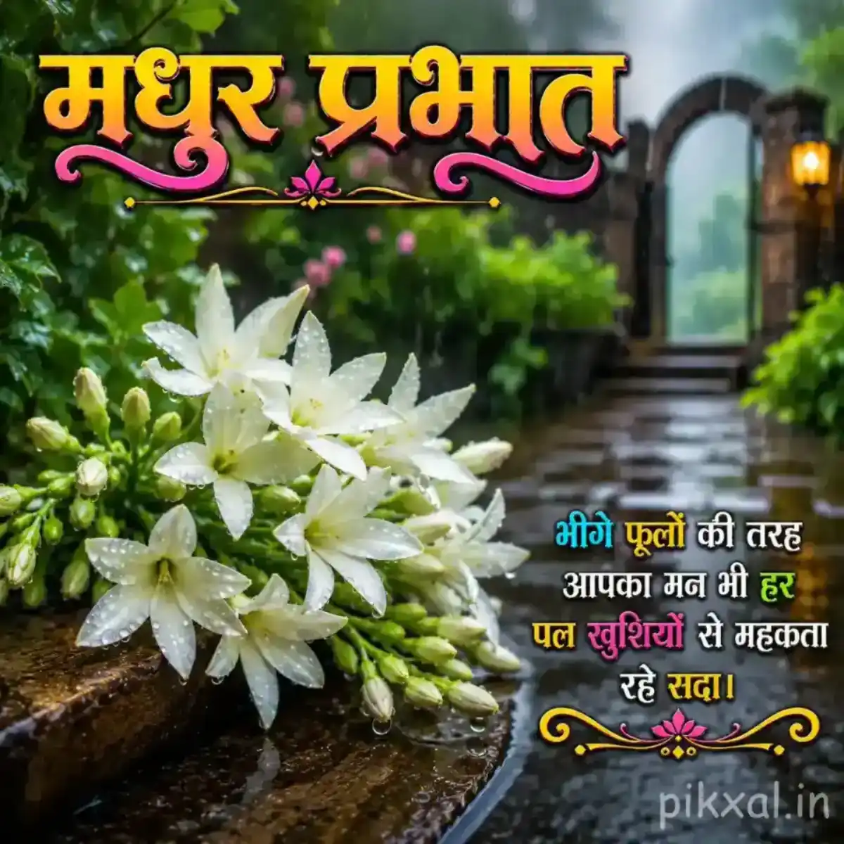 Cluster of white jasmine-like flowers with green leaves and raindrops beside a rainy garden path with a मधुर प्रभात quote