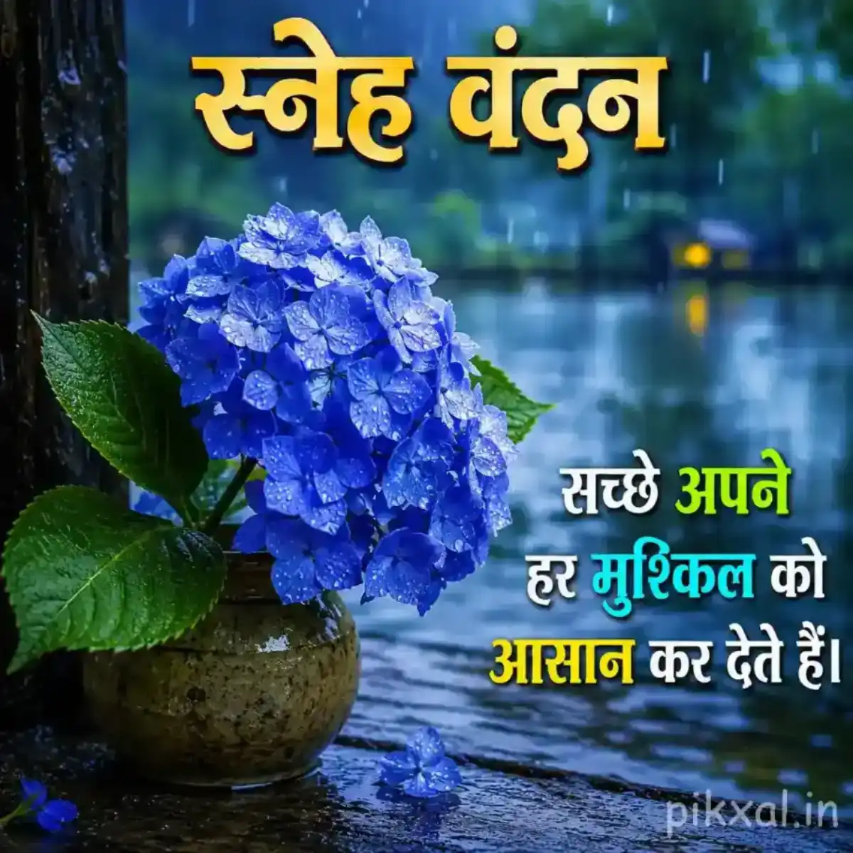 Blue hydrangea flower cluster with green leaves and raindrops beside a wet garden path with a स्नेह वंदन quote