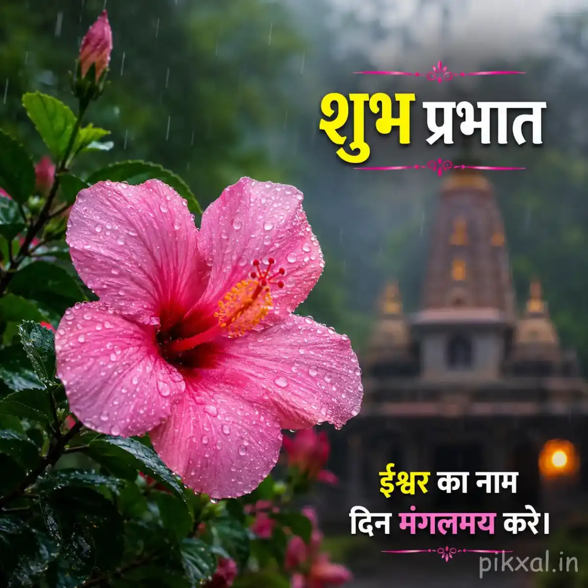 Single pink hibiscus flower with green leaves and raindrops against a rainy garden background with a शुभ प्रभात quote