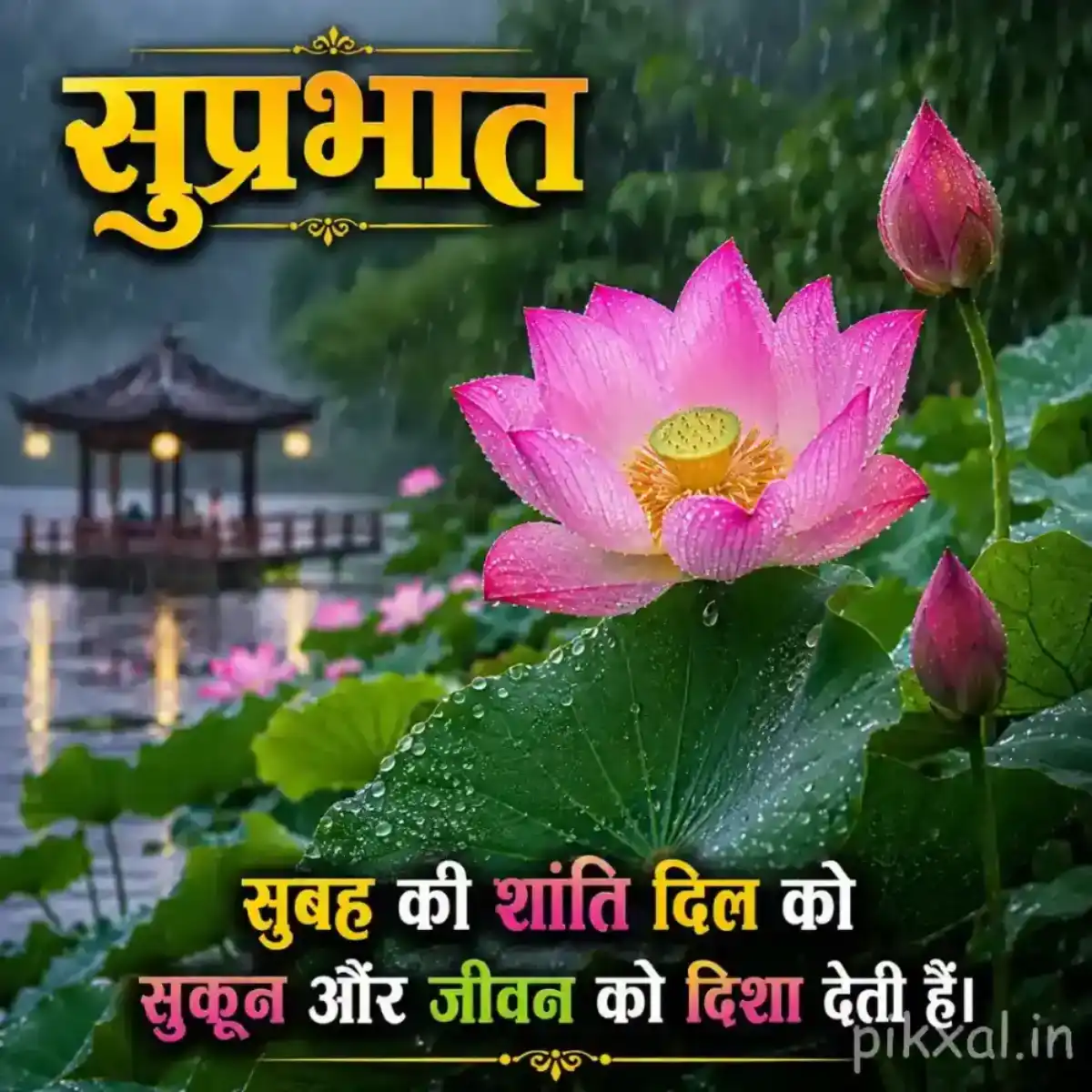 Two pink lotus flowers, one open and one bud, with green lily pads and raindrops floating on a rainy pond with a सुप्रभात quote