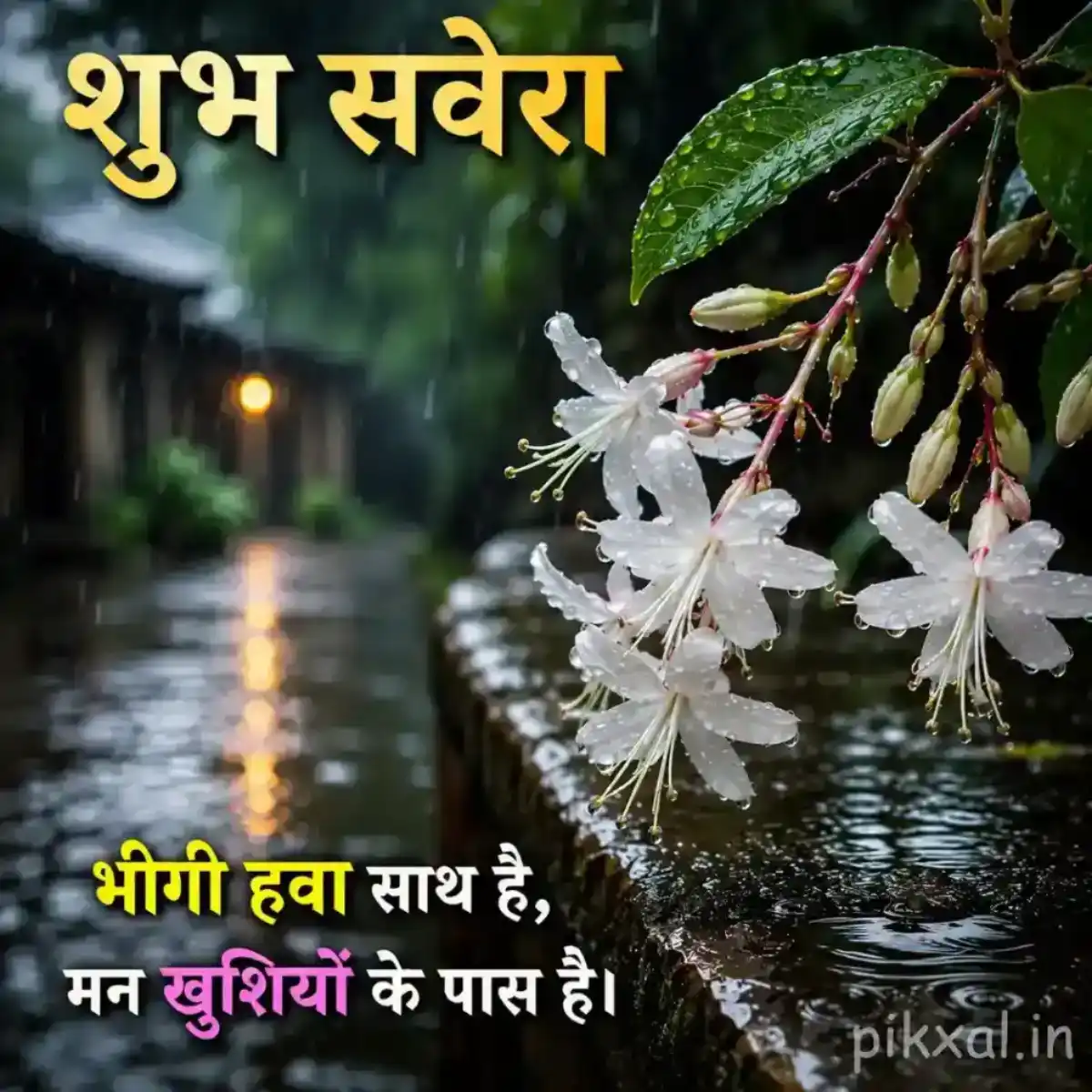 Cluster of white hanging flowers with green leaves and raindrops beside a wet garden path with a शुभ सवेरा quote