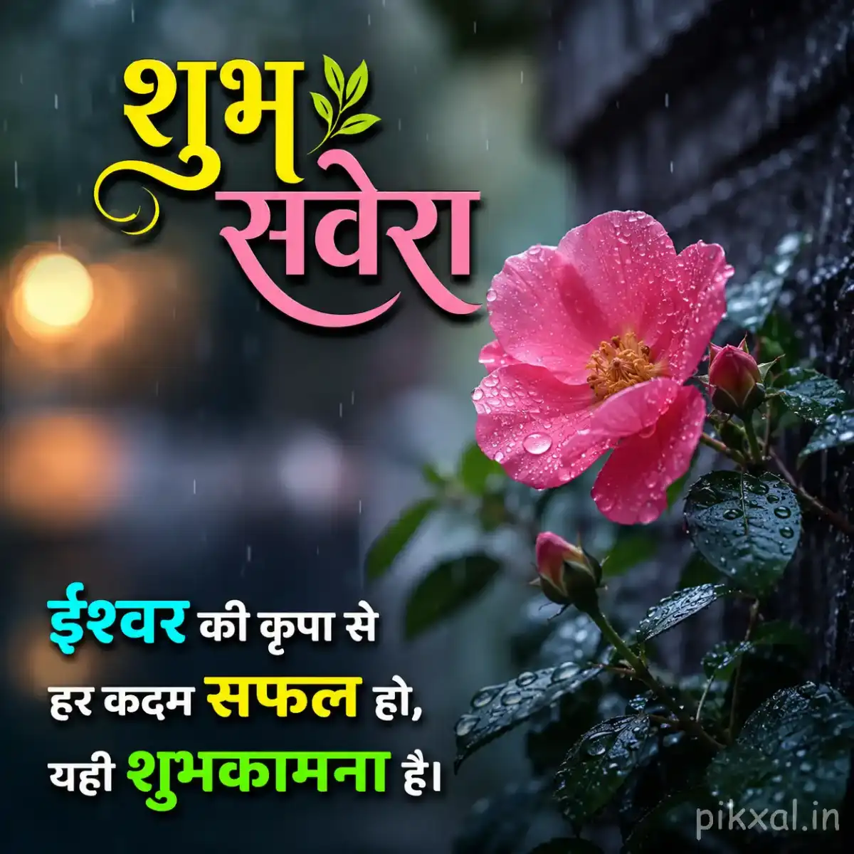 Single pink flower with green leaves and raindrops against a blurred rainy garden background with a शुभ सवेरा quote
