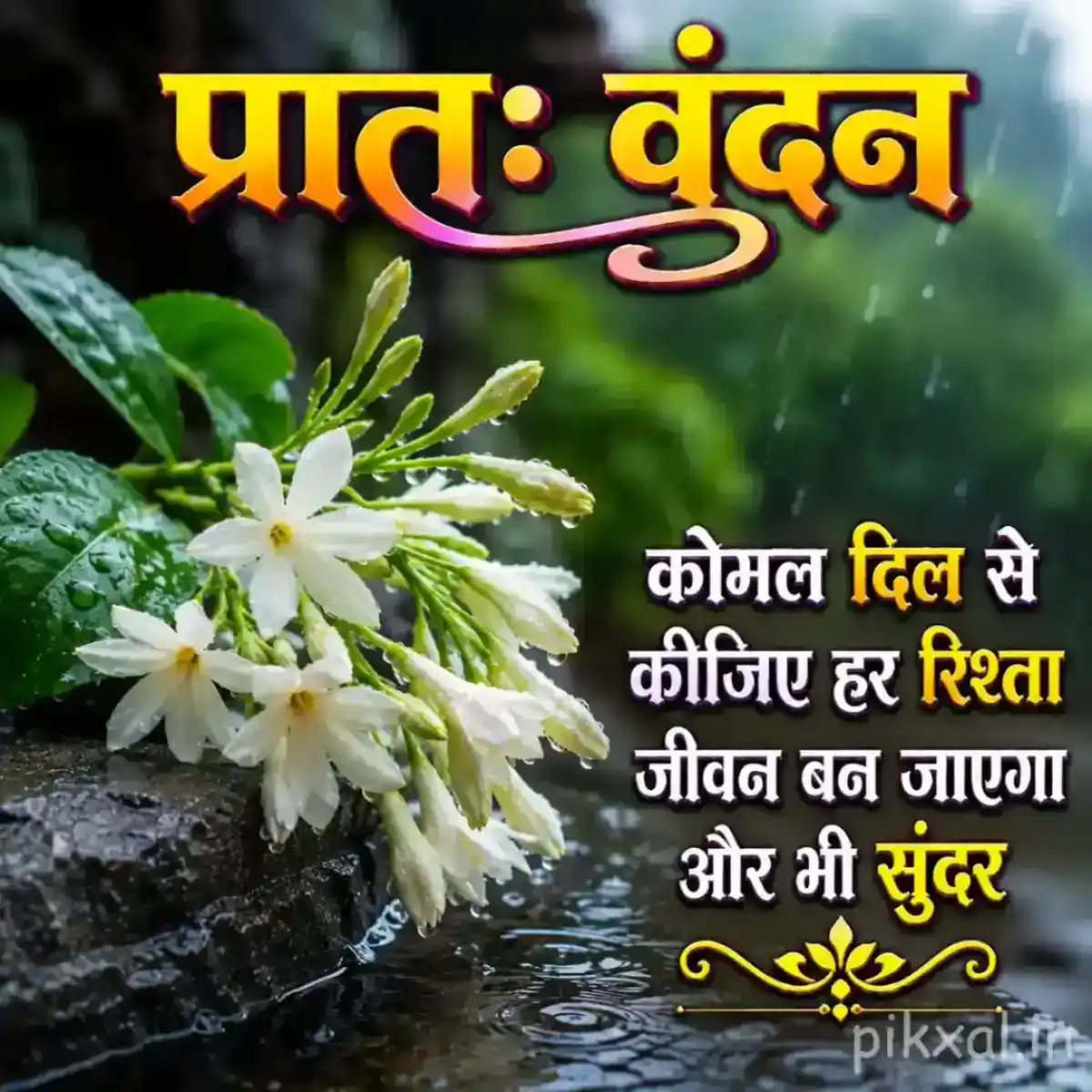 Cluster of white hanging flowers with green leaves and raindrops beside a wet garden path with a प्रातः वंदन quote