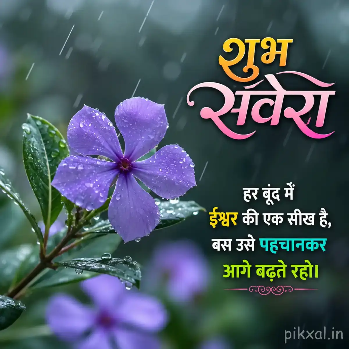 Single light purple five-petaled flower with green leaves and raindrops against a blurred rainy garden background with a शुभ सवेरा quote