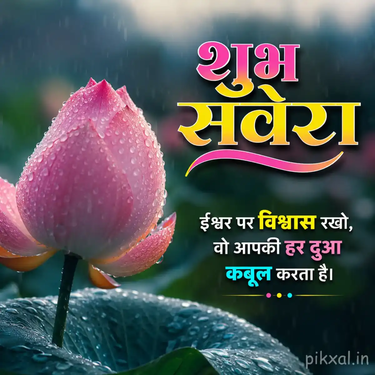 Single pink lotus bud with green leaves and raindrops beside a rainy pond with a शुभ सवेरा quote