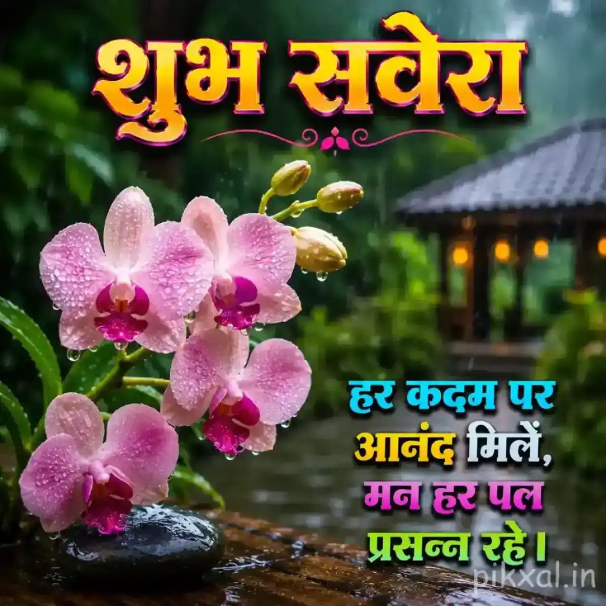 Pink orchid flowers with green leaves and raindrops beside a wet garden path with a शुभ सवेरा quote