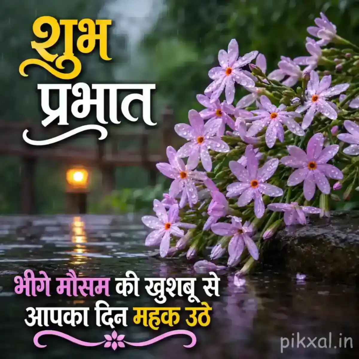 Cluster of light purple star-shaped flowers with green leaves and raindrops against a rainy garden background with a शुभ प्रभात quote