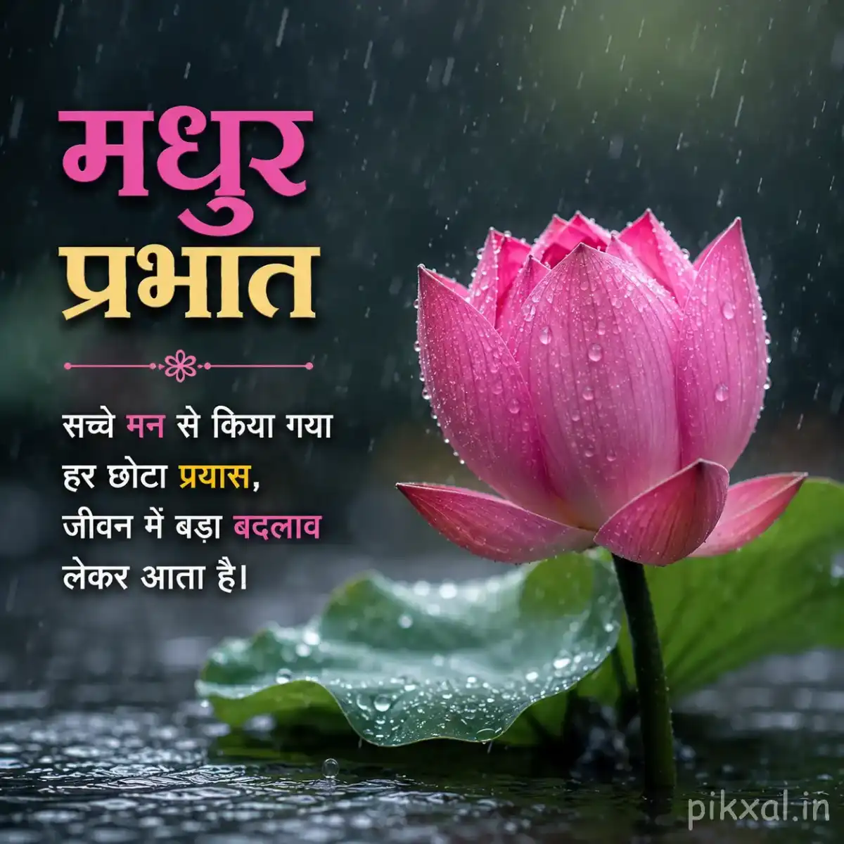 Single pink lotus flower with green lily pads and raindrops floating on a rainy pond with a मधुर प्रभात quote