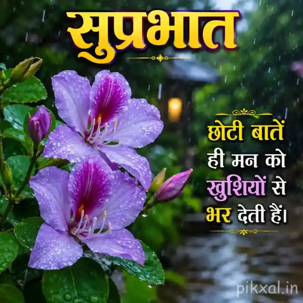 Two light purple flowers with green leaves and raindrops beside a rainy garden path with a सुप्रभात quote