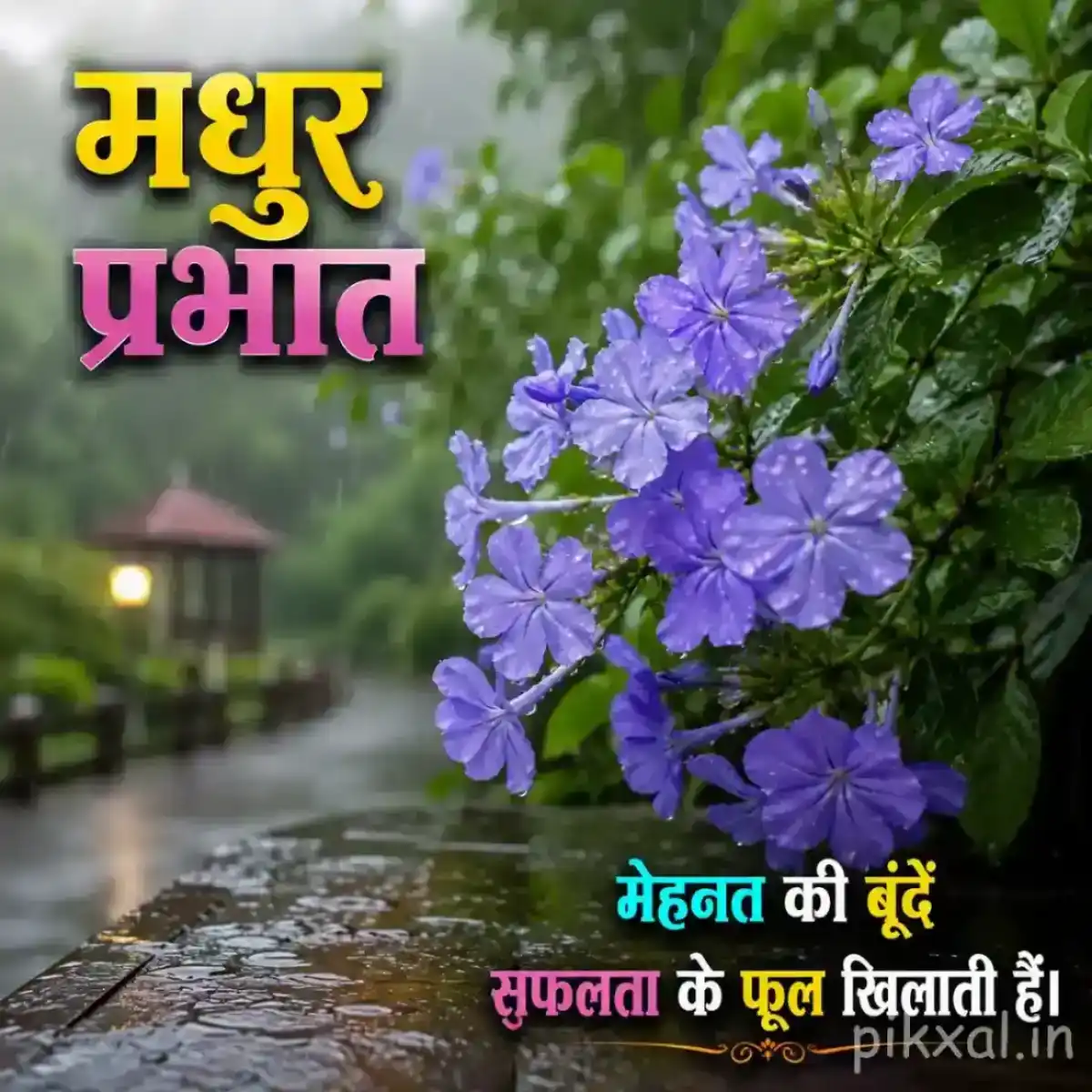 Cluster of purple flowers with green leaves and raindrops beside a wet monsoon garden path with a मधुर प्रभात quote