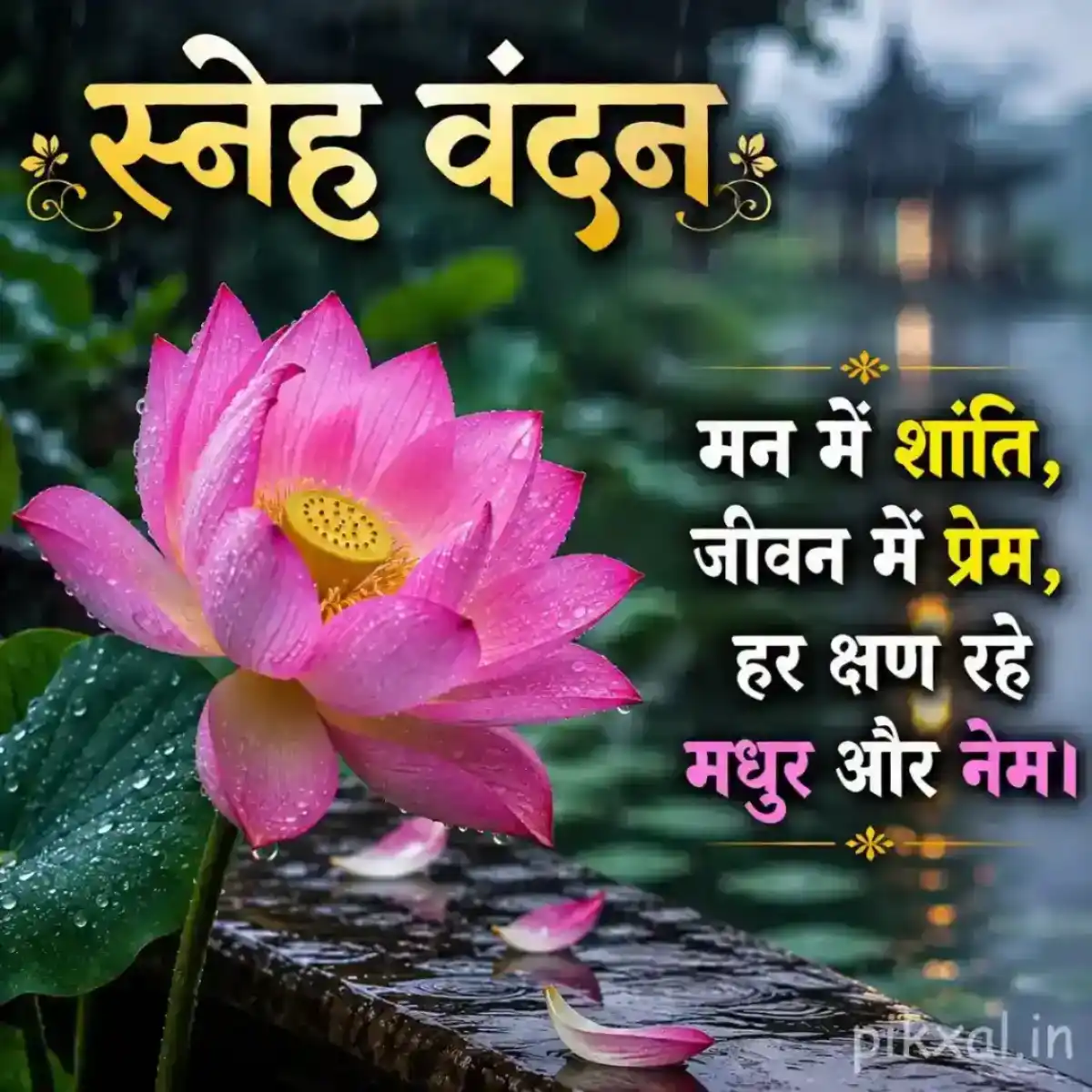 Single pink lotus flower with green lily pads and raindrops beside a wet pond with a स्नेह वंदन quote