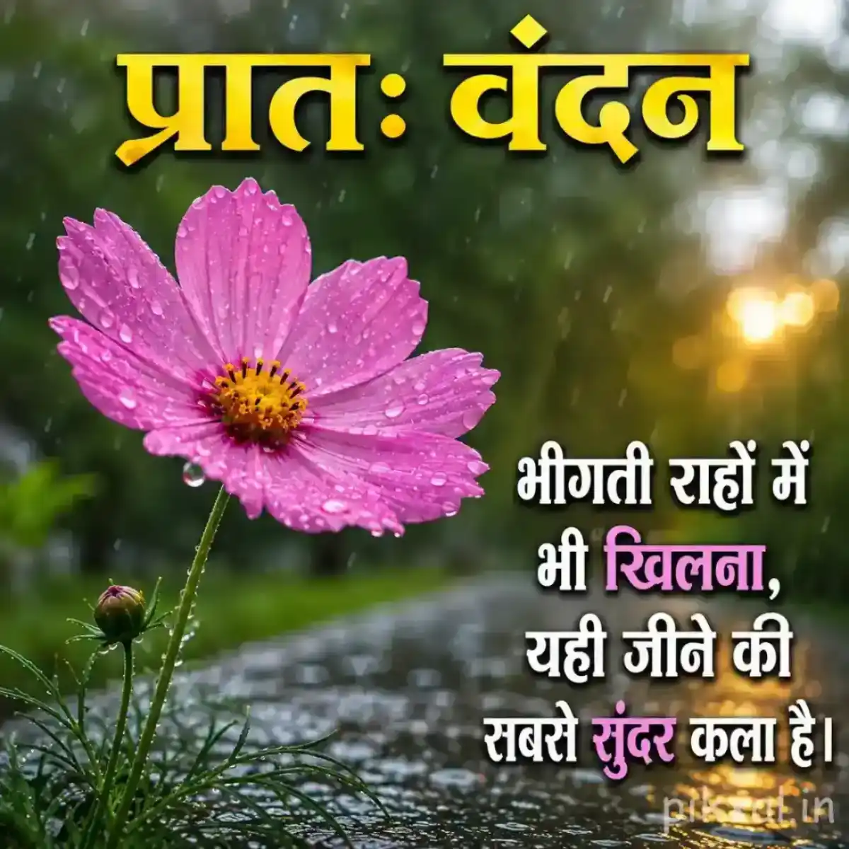 Single pink daisy-like flower with a yellow center, green stem and raindrops on a rainy garden path with a प्रातः वंदन quote