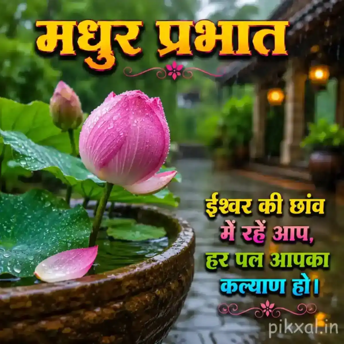 Rainy Good Morning Images featuring a pink lotus bud with green lily pads and raindrops in a bowl beside a rainy garden path