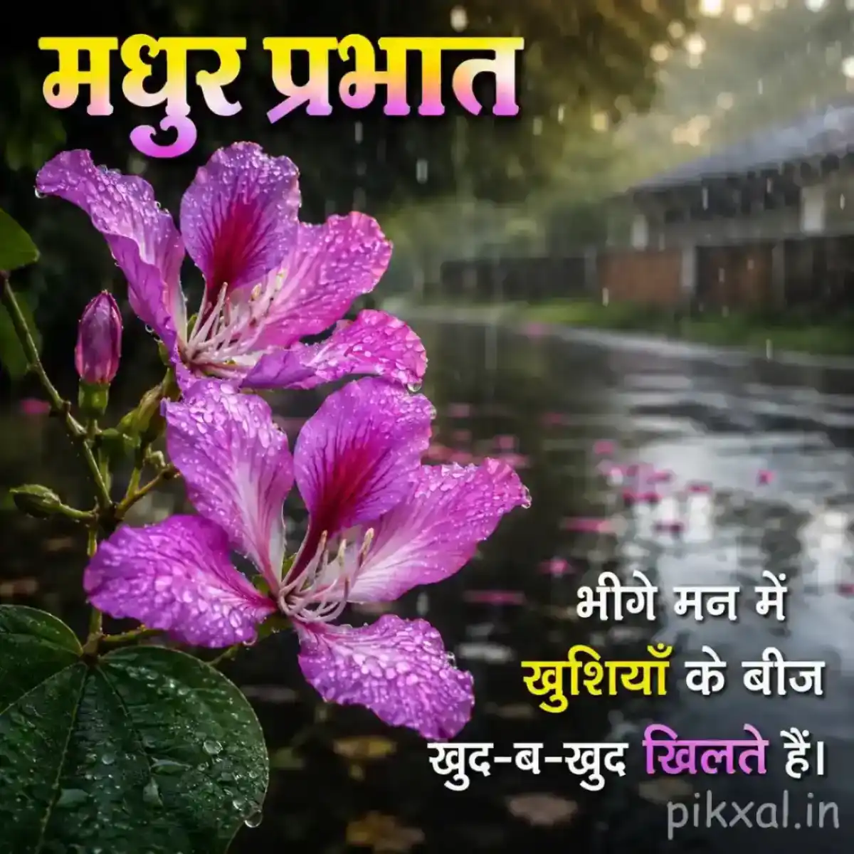 Two bright pink flowers with green leaves and raindrops against a lush rainy garden background with a मधुर प्रभात quote