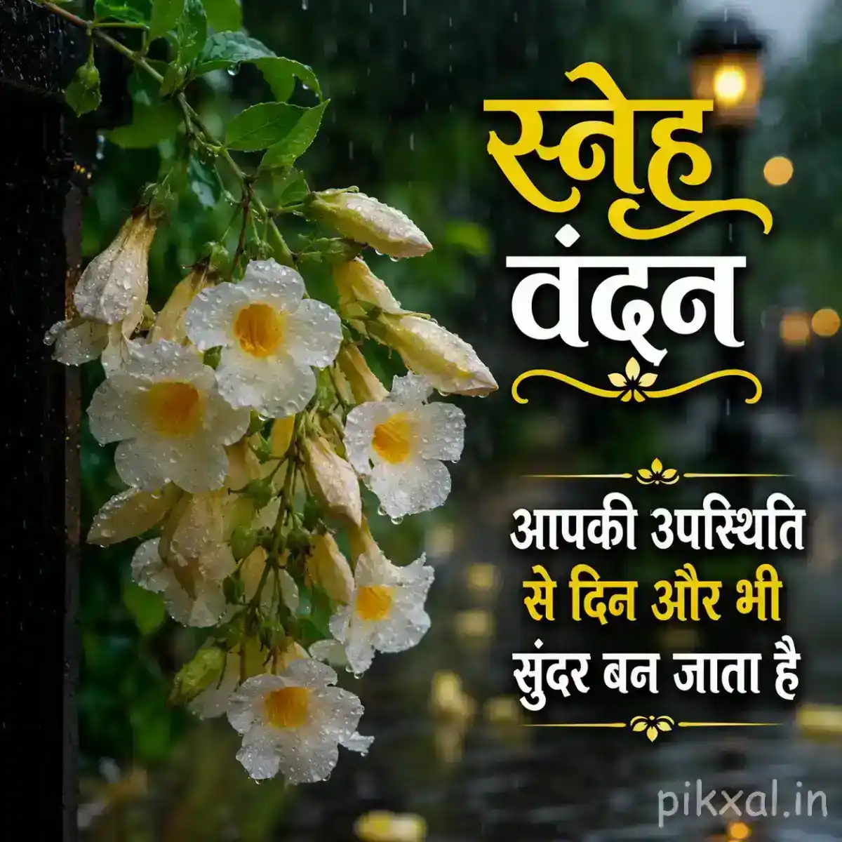 Cluster of white flowers with yellow centers, green leaves and raindrops beside a rainy garden path with a स्नेह वंदन quote