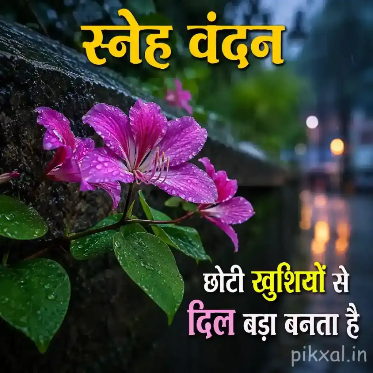 Cluster of pink flowers with green leaves and raindrops against a blurred rainy garden background with a स्नेह वंदन quote