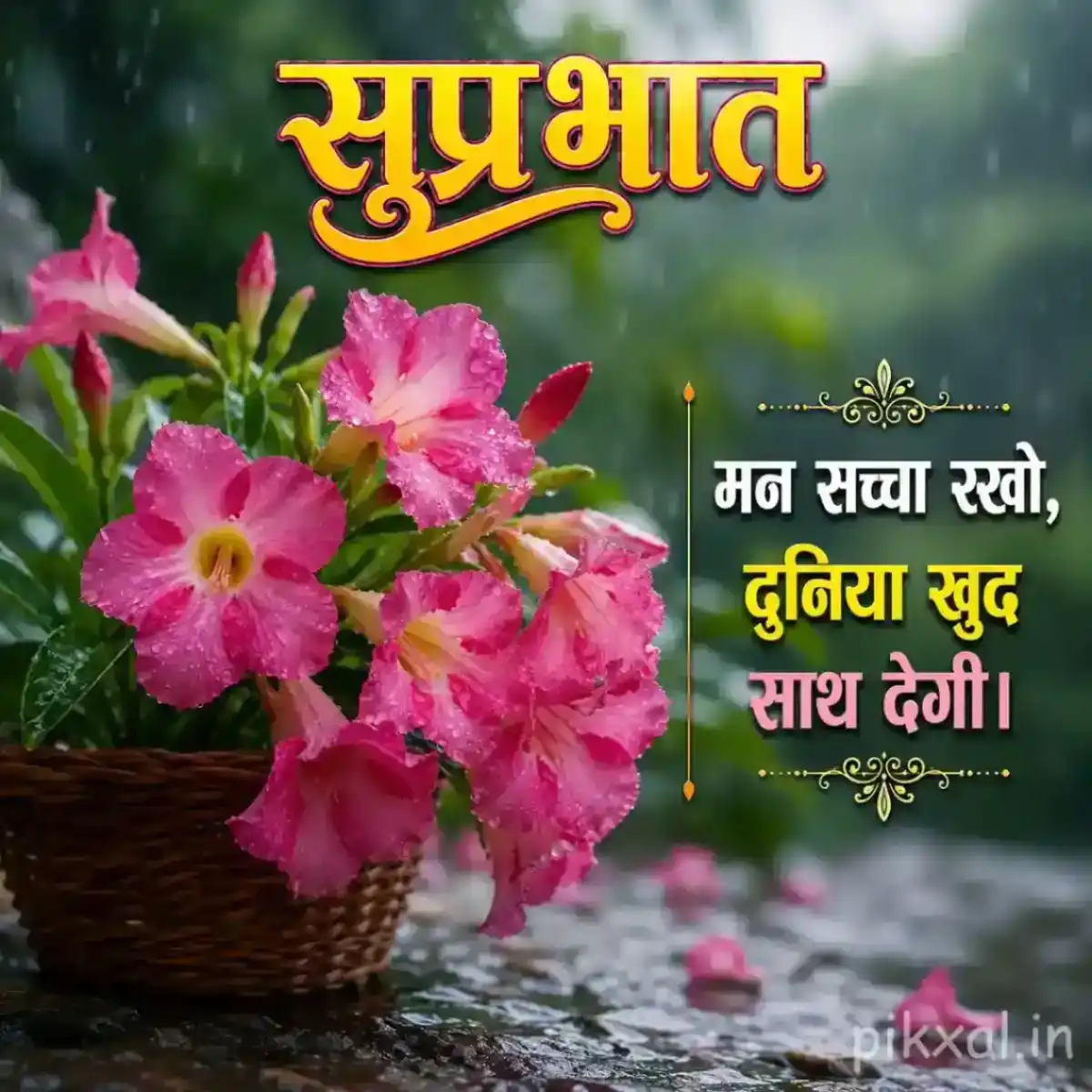 Cluster of pink flowers with green leaves and raindrops arranged in a woven basket beside a rainy garden path with a सुप्रभात quote