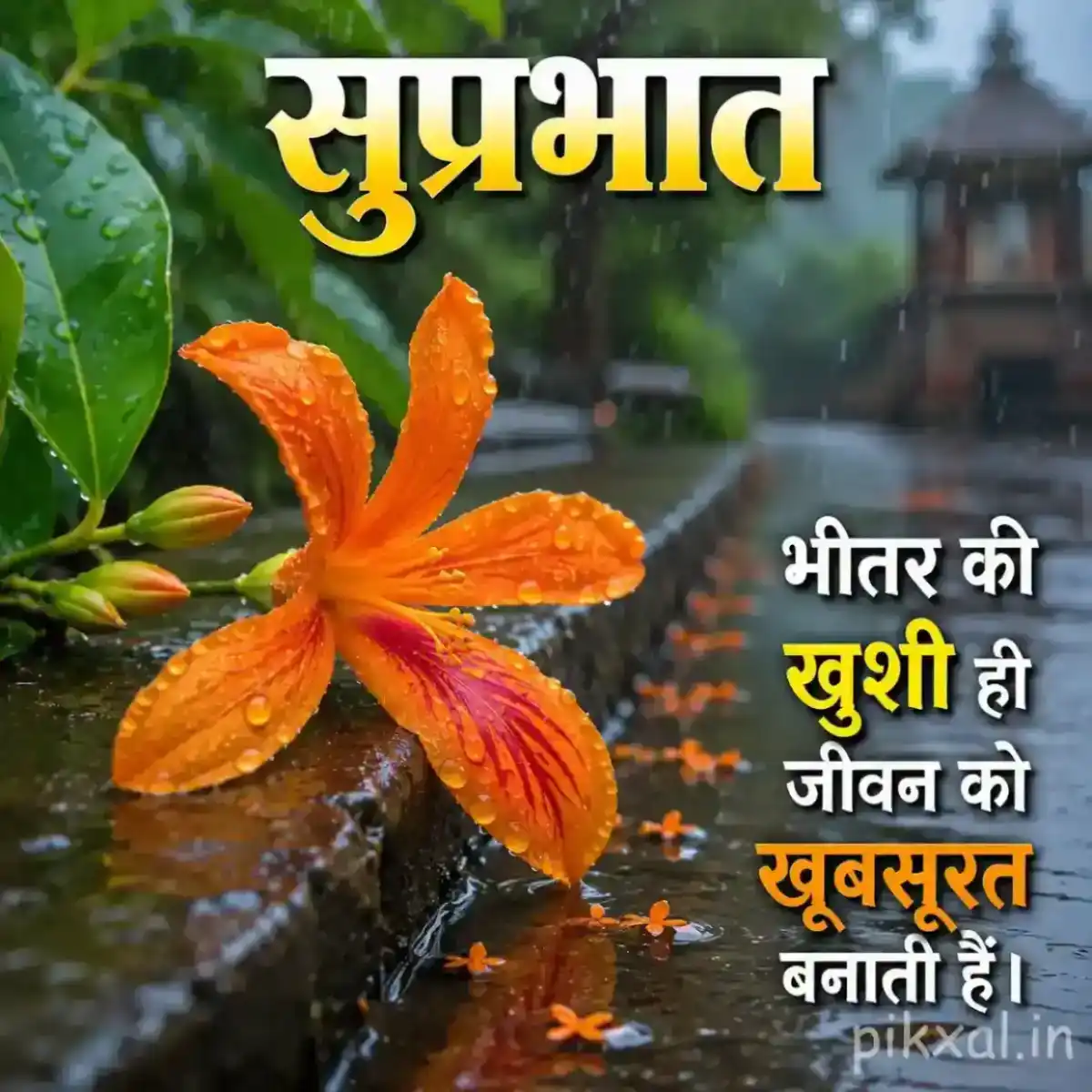 Single orange lily flower with green leaves and raindrops on wet stones beside a rainy garden path with a सुप्रभात quote