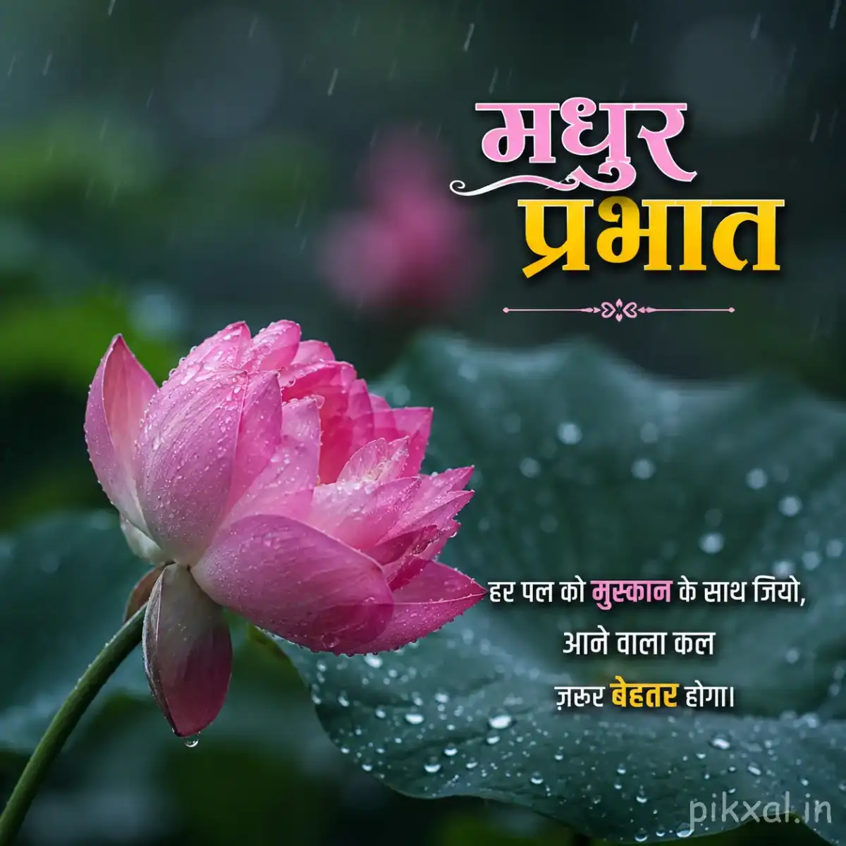 Single pink lotus bud with green leaves and raindrops against a dark rainy garden background with a मधुर प्रभात quote