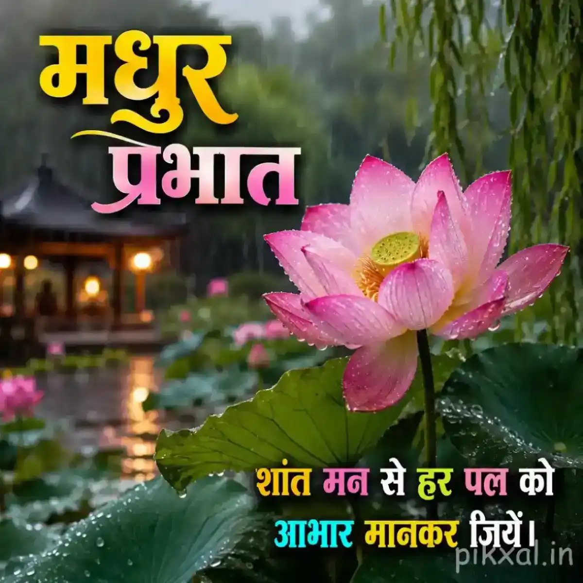 Single pink lotus flower with green lily pads and raindrops floating on a rainy pond with a मधुर प्रभात quote