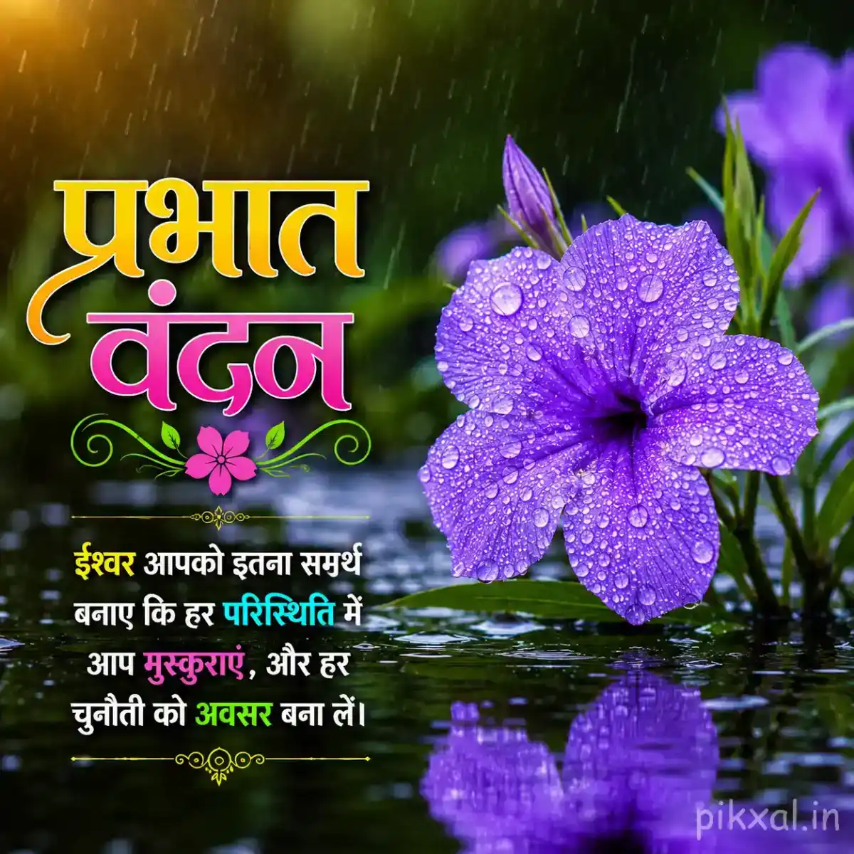 Purple five-petaled flowers with yellow centers, green leaves and raindrops beside a wet pond with a प्रभात वंदन quote