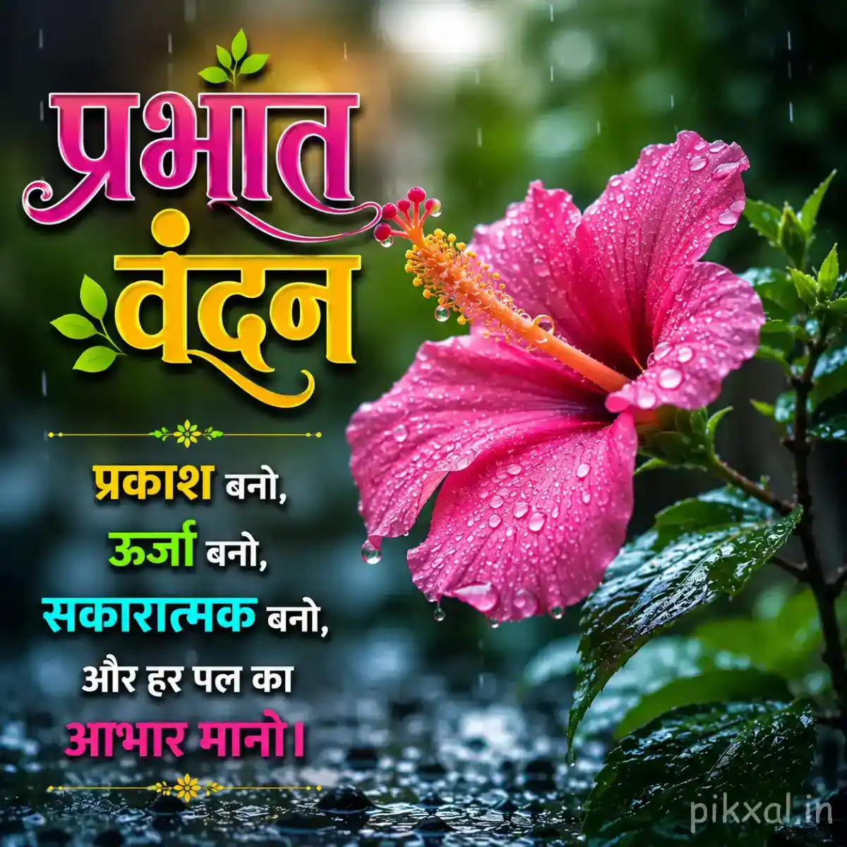 Single bright pink hibiscus flower with green leaves and raindrops against a lush rainy garden background with a प्रभात वंदन quote