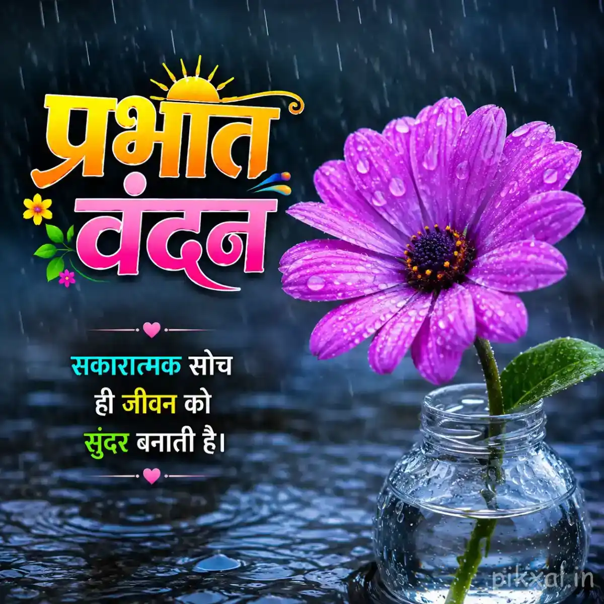 Single bright purple gerbera daisy with a dark center, green leaves and raindrops beside a wet pond with a प्रभात वंदन quote
