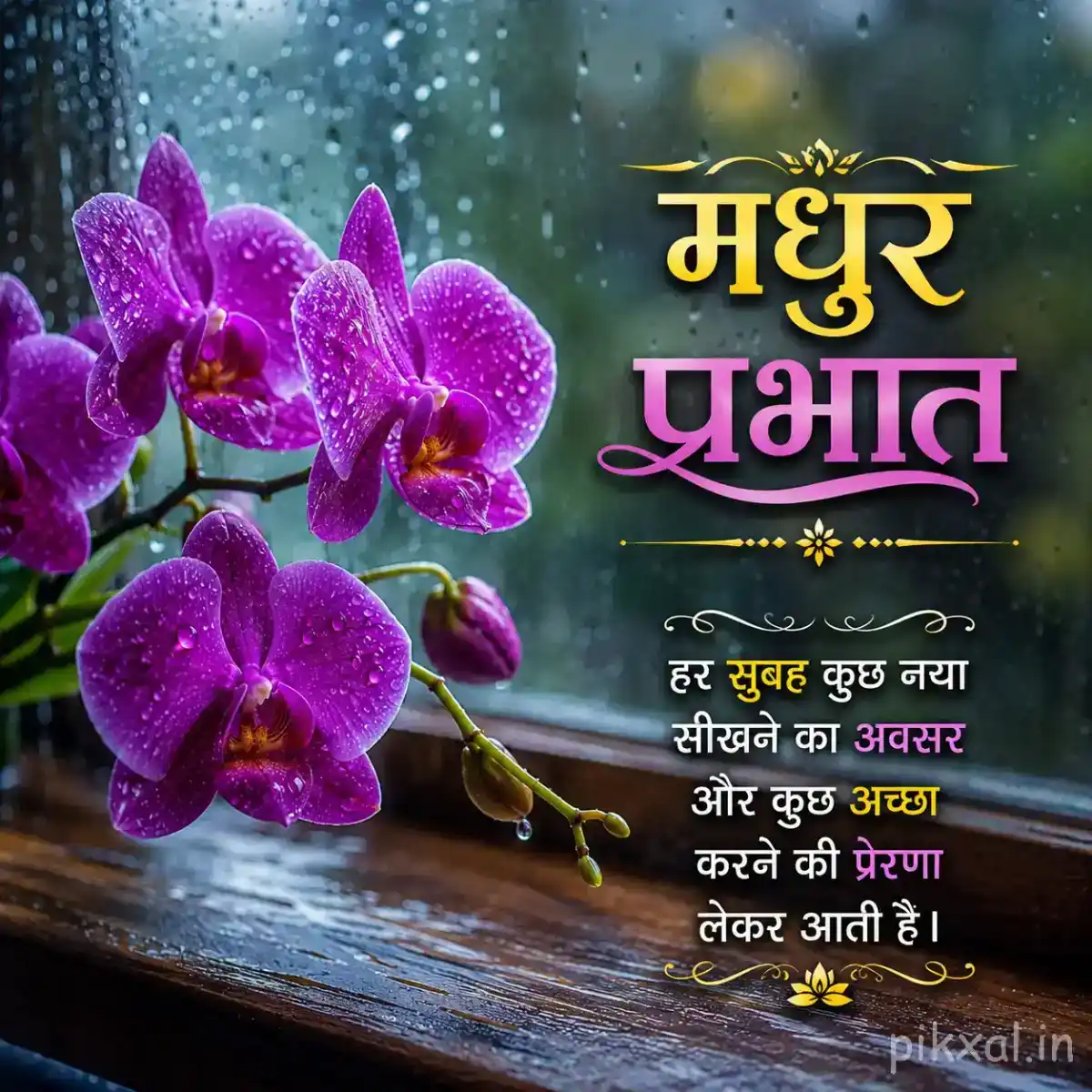 Cluster of purple orchid flowers with green leaves and raindrops on a wet wooden surface with a मधुर प्रभात quote