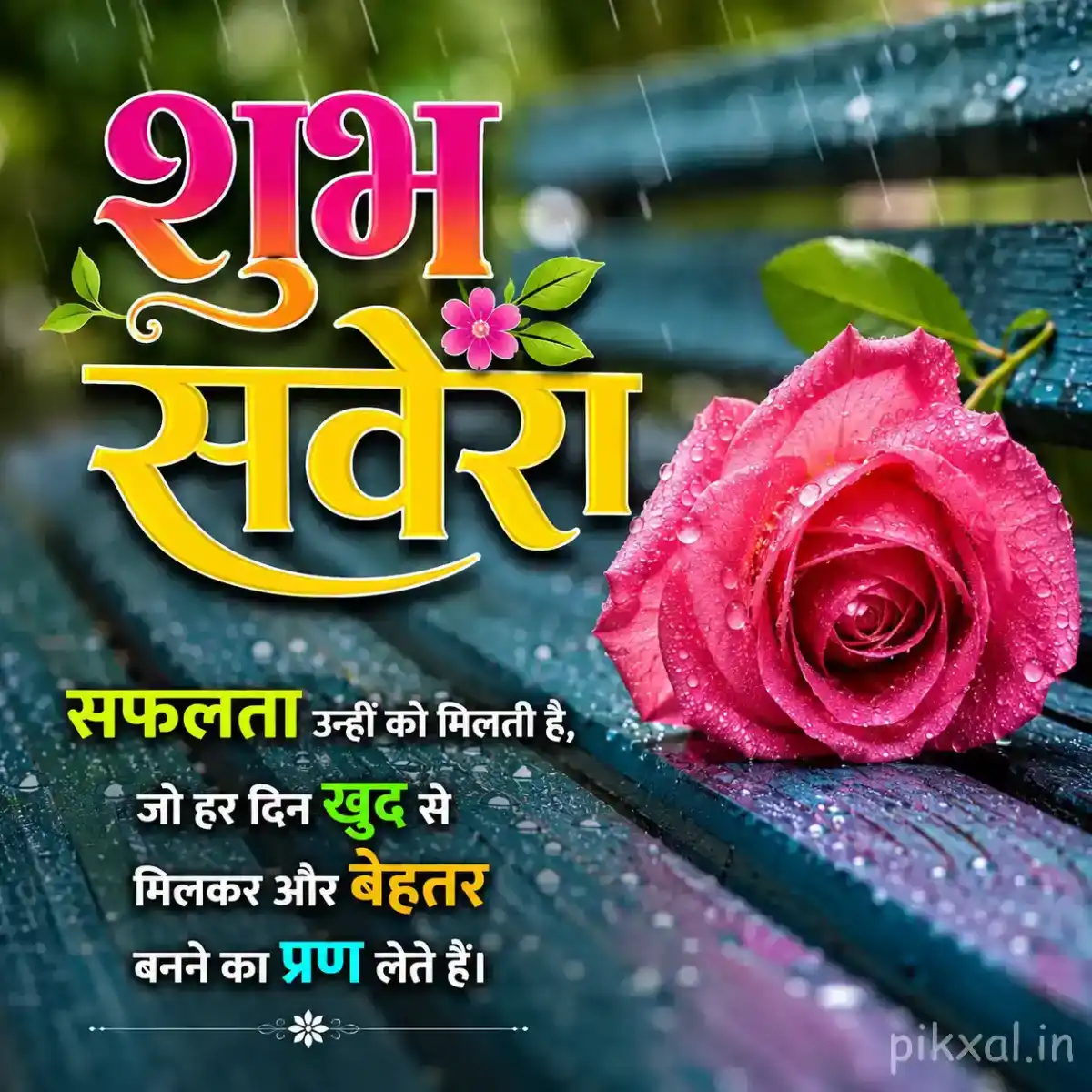 Single pink rose covered with raindrops beside a wet garden path with a शुभ सवेरा quote