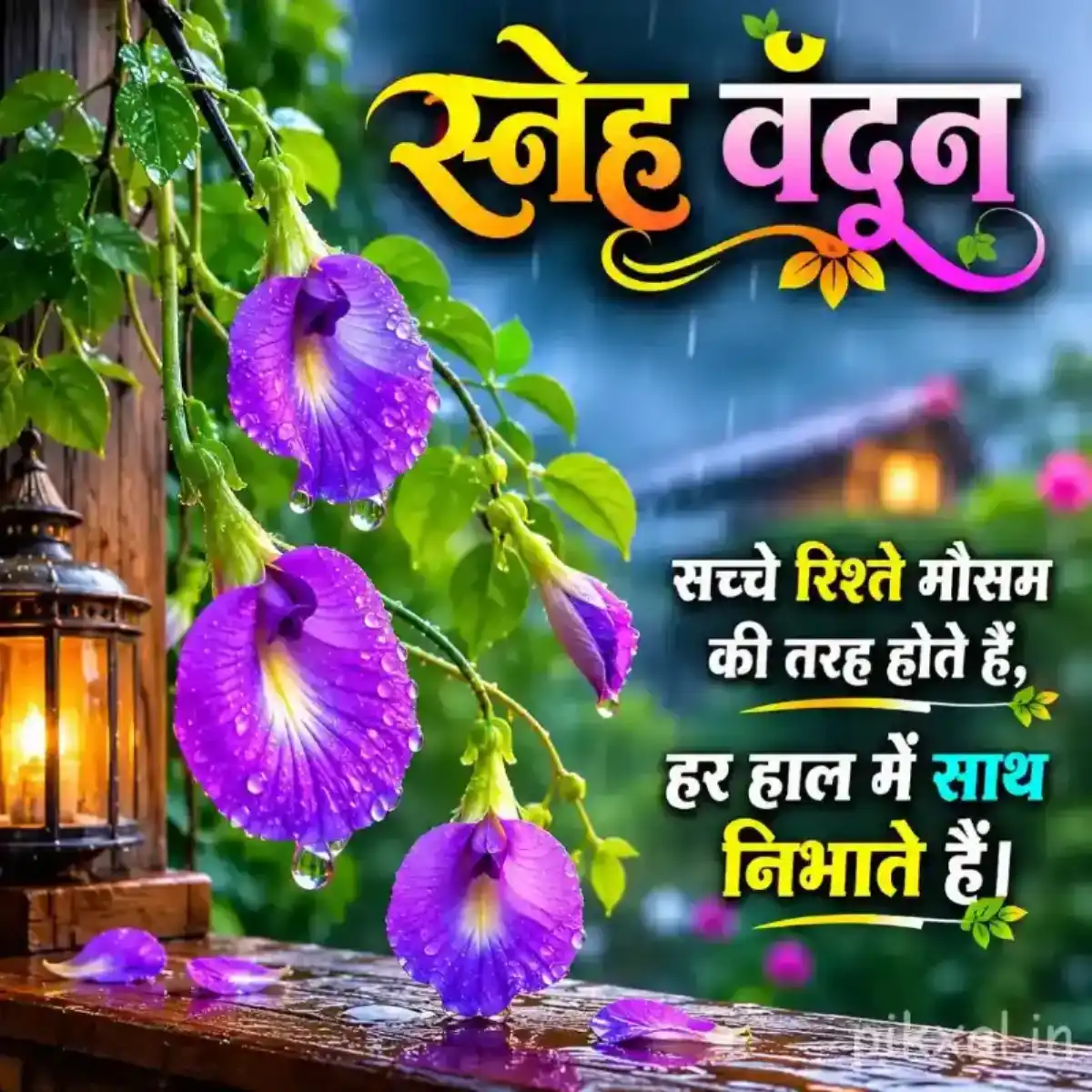 Purple butterfly pea flowers with green leaves and raindrops in a rainy garden beside a lantern with a स्नेह वंदन quote