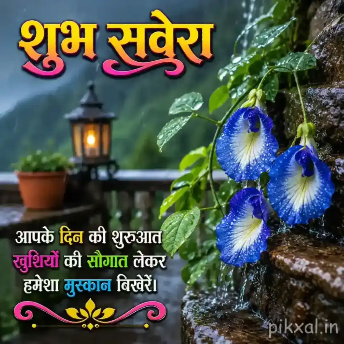Blue butterfly pea flowers with green leaves and raindrops beside a rainy garden lantern with a शुभ सवेरा quote