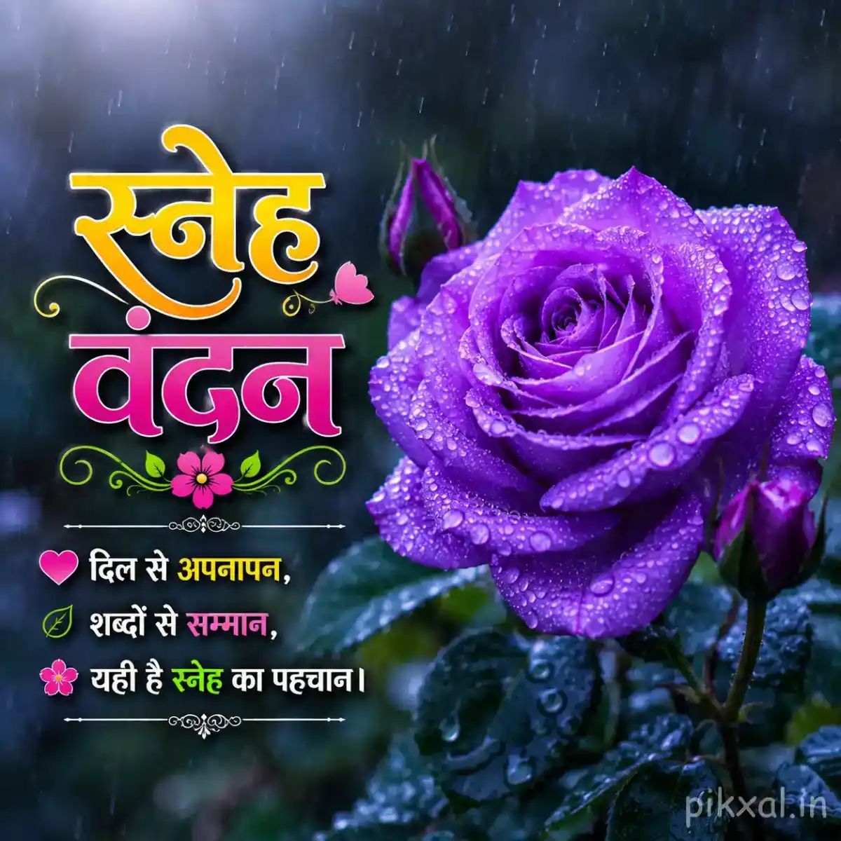 Single purple rose with green leaves and raindrops against a dark rainy garden background with a स्नेह वंदन quote