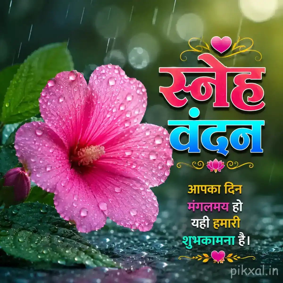 Single bright pink hibiscus flower with a dark center, green leaves and raindrops with a स्नेह वंदन quote
