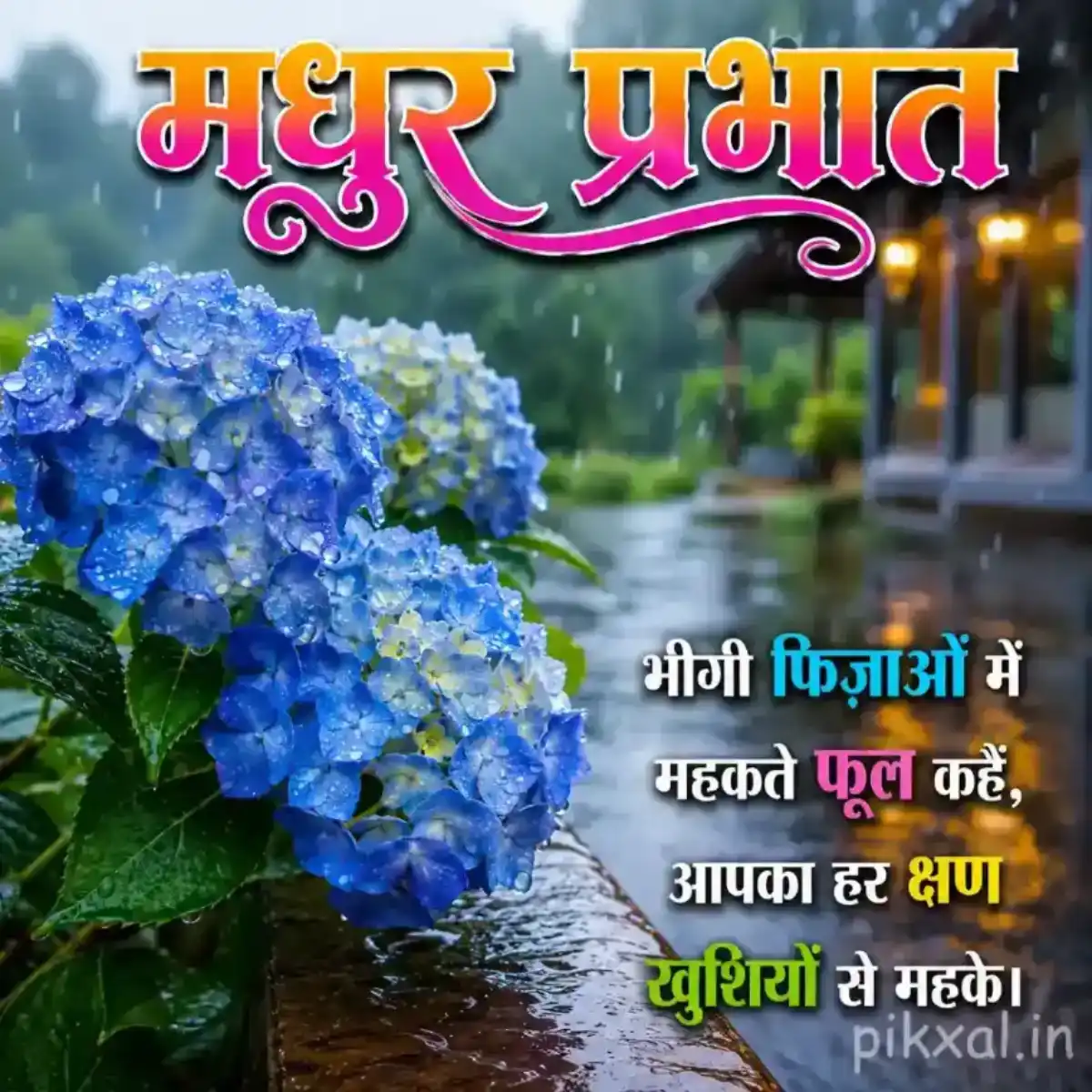 Blue hydrangea flower cluster with green leaves and raindrops against a lush rainy garden background with a मधुर प्रभात quote