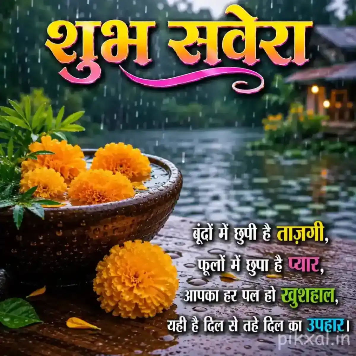 Orange marigold flowers in a bowl with green leaves and raindrops against a rainy garden background with a शुभ प्रभात quote
