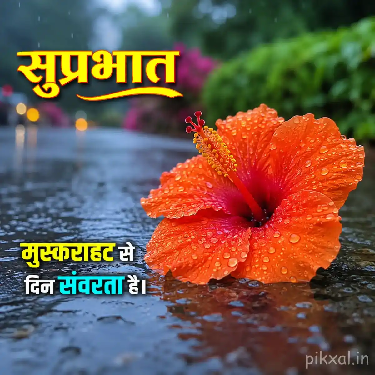 Single bright orange hibiscus flower with a red center, green leaves and raindrops on a wet surface with a सुप्रभात quote