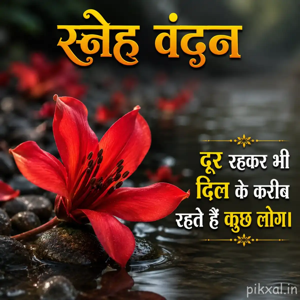 Red Flower Good Morning Images on wet stones with a Hindi Quote
